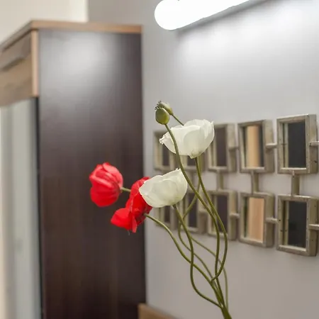 Family Dunas De Apartamento *