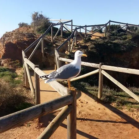 Family Dunas De * Алвор