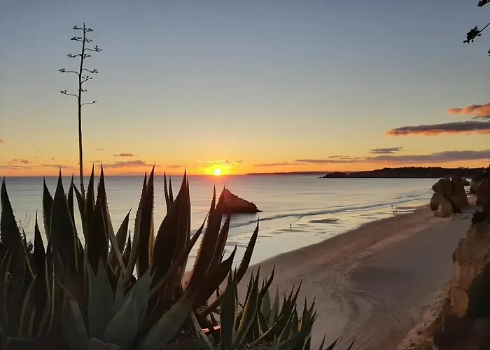 דירה Family Dunas De אלבור