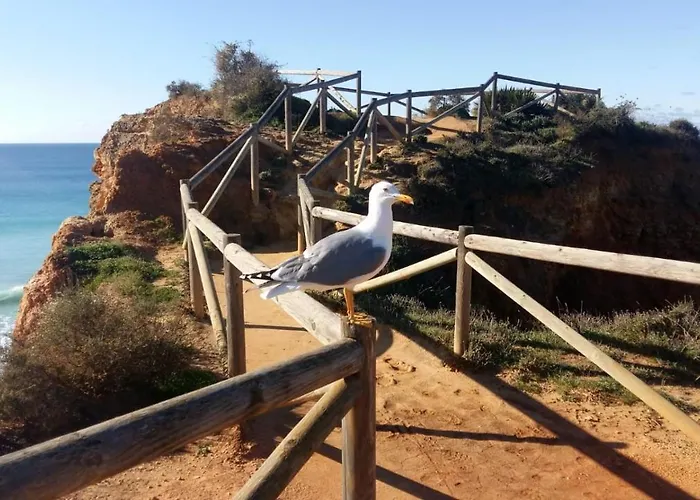 Family Dunas De * אלבור